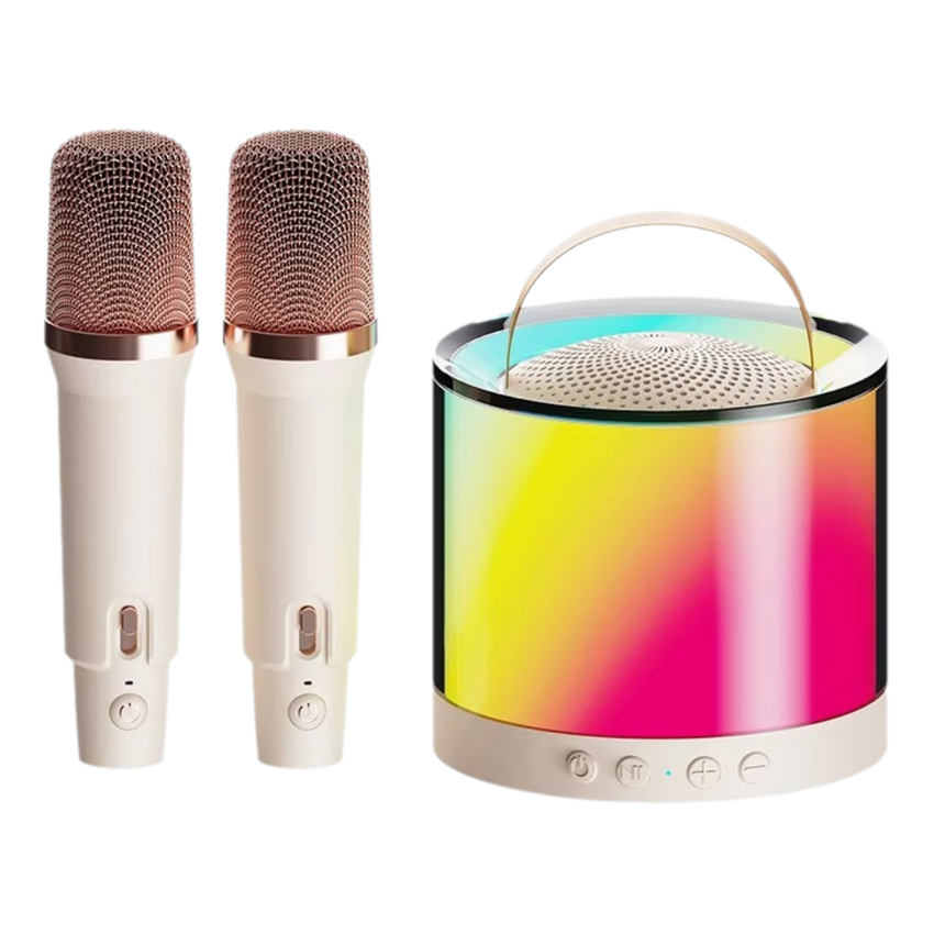 DM36 Wireless Karaoke